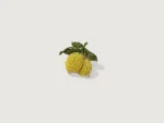 New Trovelore Amalfi Lemons Broche